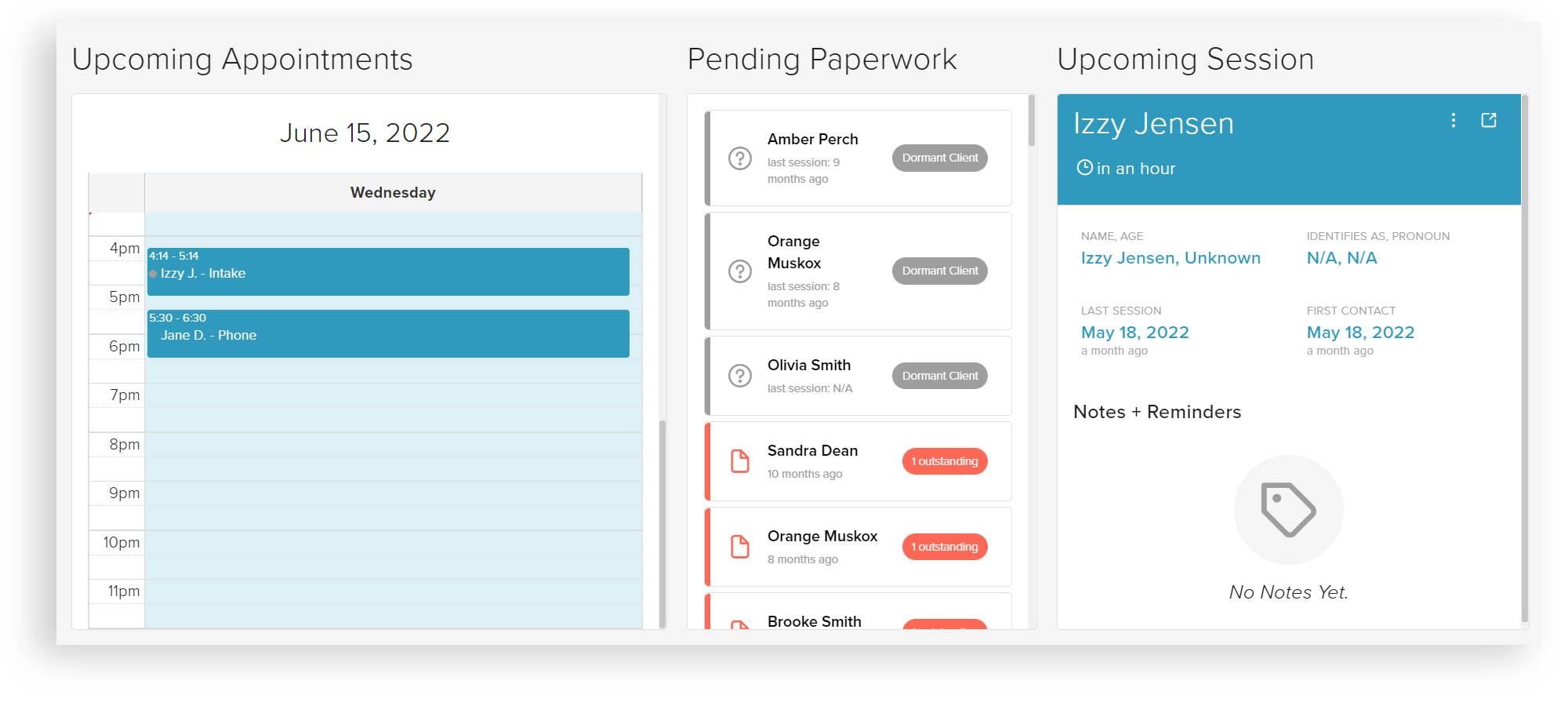 Izzy Case Manager dashboard sample